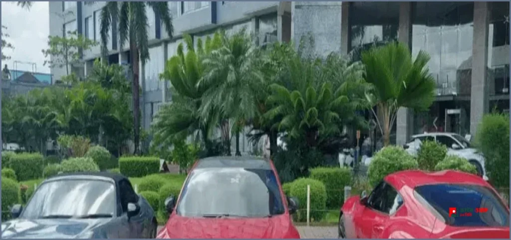 কাগজপত্রহীন তিন বিলাসবহুল গাড়ি জব্দ করল শুল্ক গোয়েন্দা