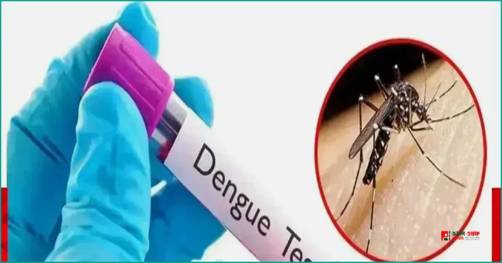 ডেঙ্গুতে আরও ৪ মৃত্যু, হাসপাতালে ভর্তি ১,৩১৪ জন
