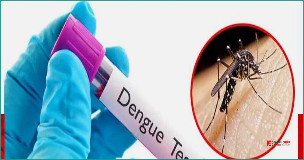 ডেঙ্গুতে আরও ৬ মৃত্যু, আক্রান্ত বেড়ে ২৪৫ জন