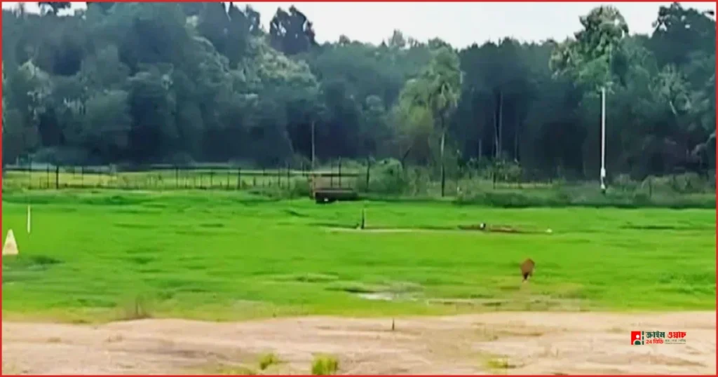 ফেনী সীমান্তে বিএসএফের গুলিতে বাংলাদেশি কৃষক গুলিবিদ্ধ