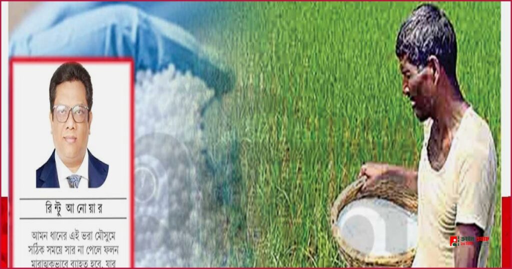 সারের কৃত্রিম সংকট: মাঠের হাহাকার ও সিন্ডিকেটের অক্টোপাস