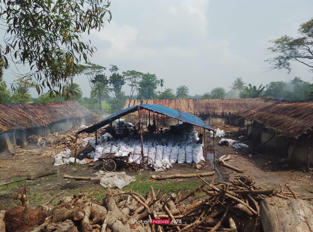 কাঠালিয়ায় অবাধে হচ্ছে কাঠ পুড়িয়ে কয়লা তৈরি, বেড়েছে স্বাস্থ্য ঝুঁকি