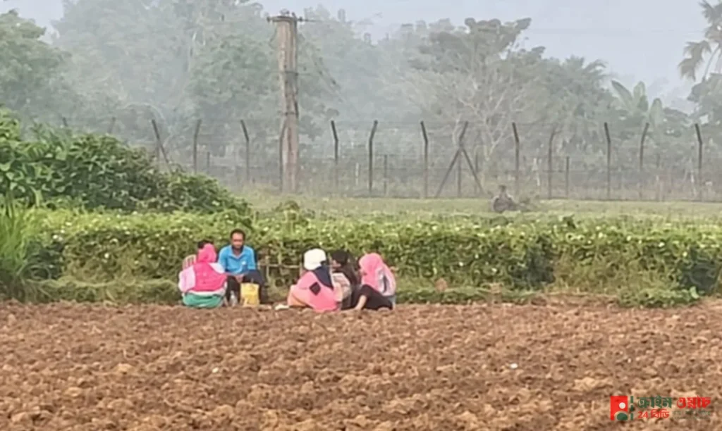 গাংনীর রংমহল সীমান্তে,৪ জন নারী,দুইজন পুরুষ'সহ ৬ জনকে পুশ ইন চেষ্টা বিএসএফের