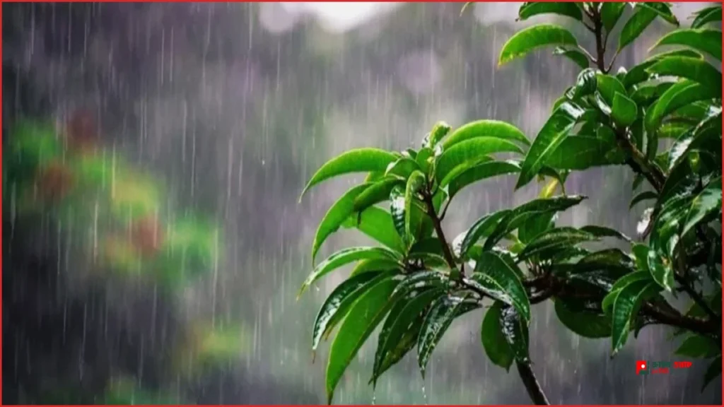আবহাওয়া পূর্বাভাস: যেসব অঞ্চলে বৃষ্টি হতে পারে আজ