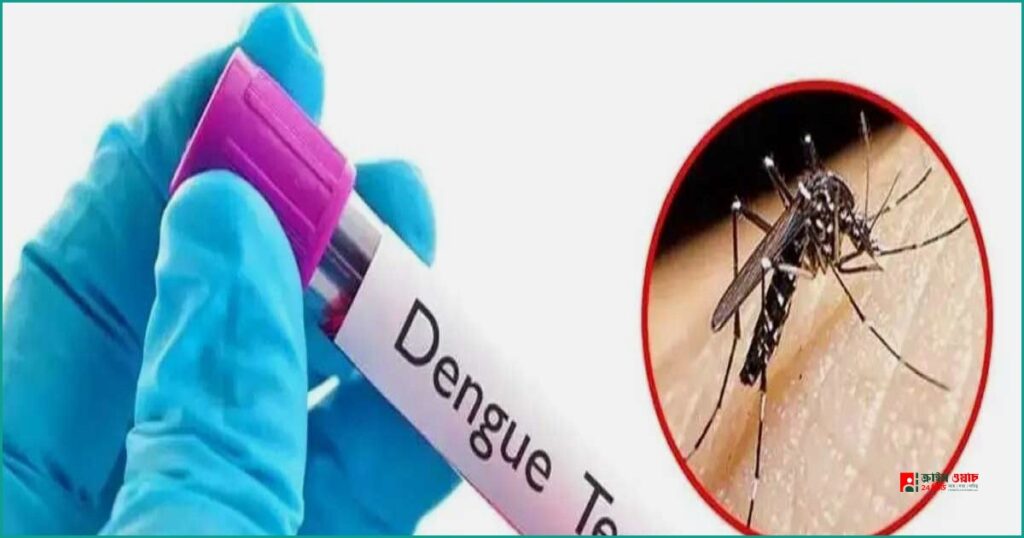 ডেঙ্গুতে আরও সাত মৃত্যু, নতুন আক্রান্ত ১৩৭৩ জন